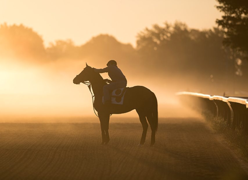 A horse and exercise rider silhouetted in golden morning mist on the Saratoga training track