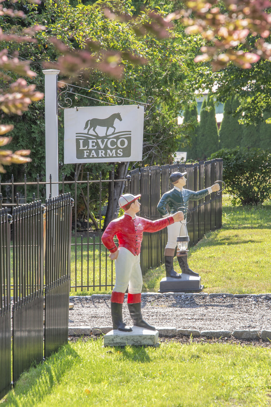 Levco Farms at the gate at the Union Avenue Thoroughbred Club